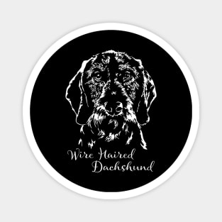 Wire Haired Dachshund dog portrait Magnet